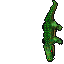 Killer Caiman